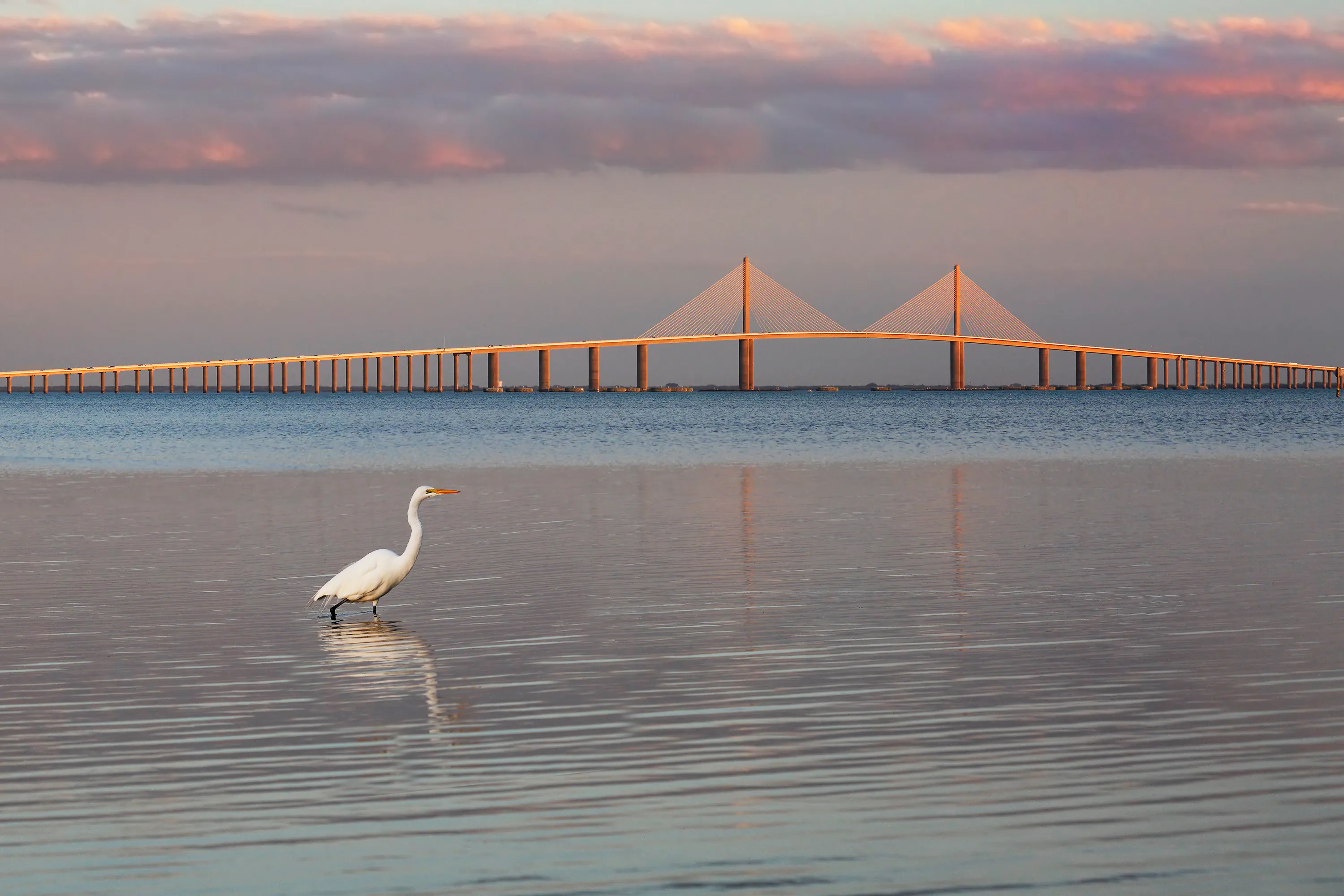 Views of the Sunshine Skyway Bridge near Palmetto, FL